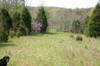 Vantreese Home